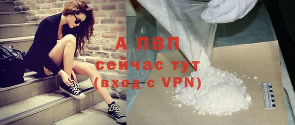 сатива Магадан